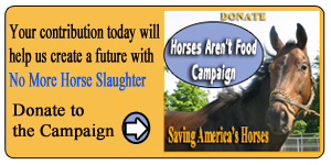 Saving Americas Horses